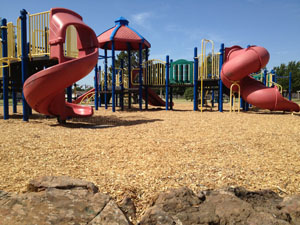 Engineered Wood Fiber for Playgrounds